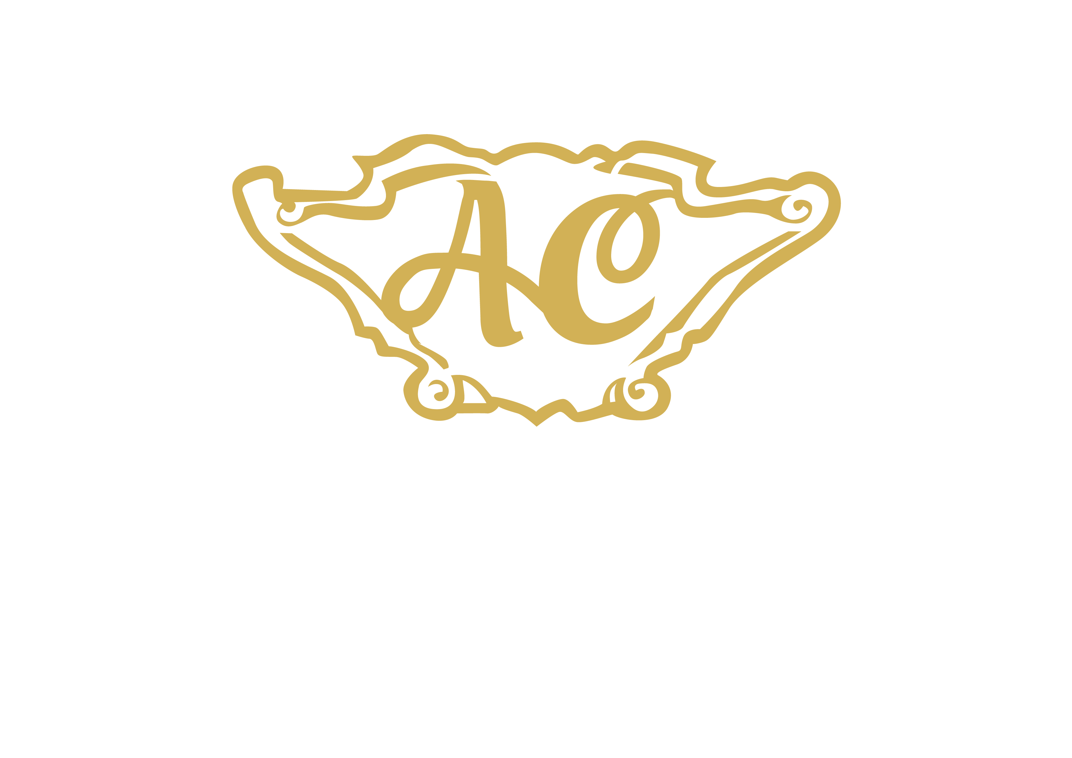 Logo Amici Del Colle Invert
